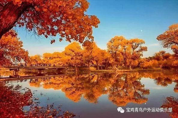 67号仓库